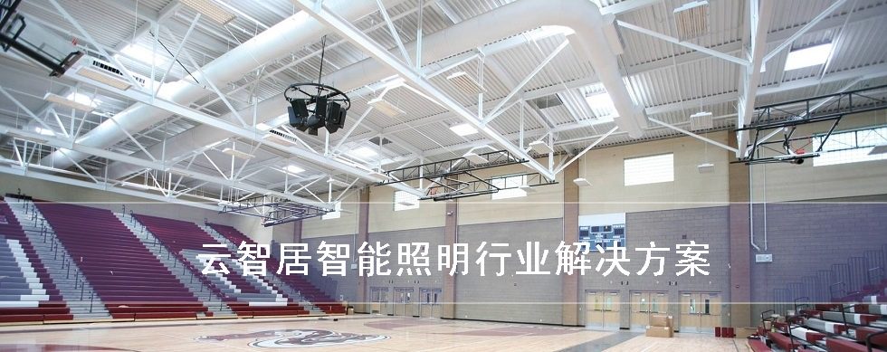 智能照明